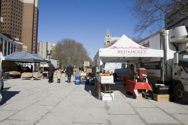 Court Street-Brooklyn-Brooklyn Heights-Cobble Hill-NYC_1